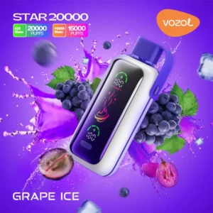 Vozol Star 20000 Züge Einweg E Zigarette - GRAPE ICE