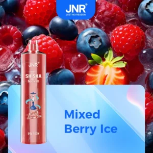 JNR Shisha Hookah 12000 tiradas cigarrillo electrónico desechable - MIX BERRY ICE