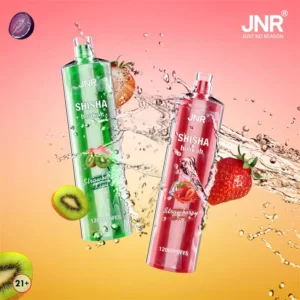 JNR Shisha Hookah 12000 Züge Einweg E Zigarette - PIÑA COCO