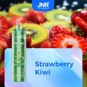 JNR Shisha Hookah 12000 Züge Einweg E Zigarette - FRESAS KIWI